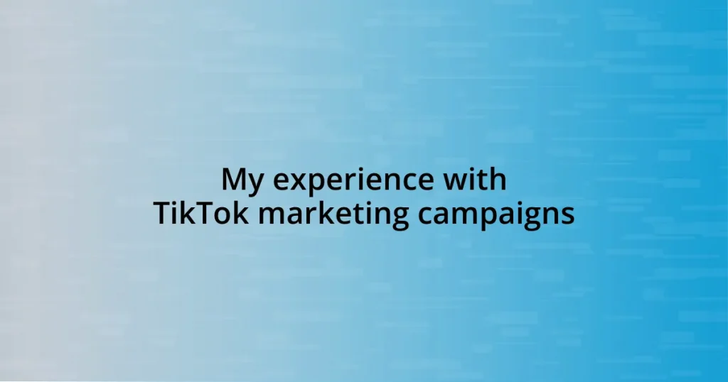 My experience with TikTok marketing campaigns